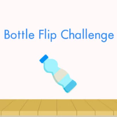 Bottle Flip Bottle Flip